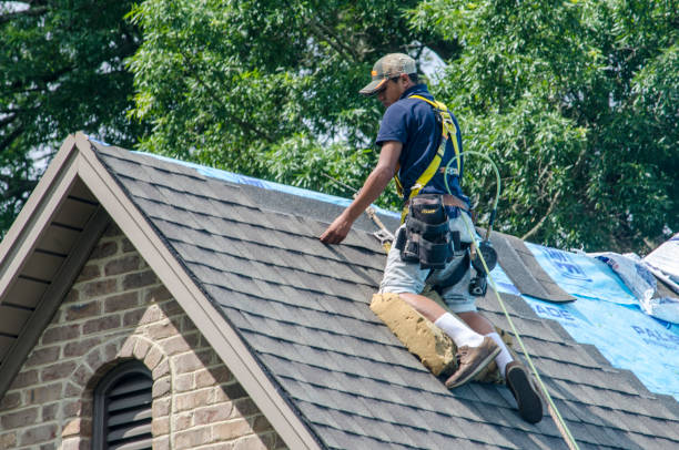 Best Roof Repair Services  in Fort Valley, GA